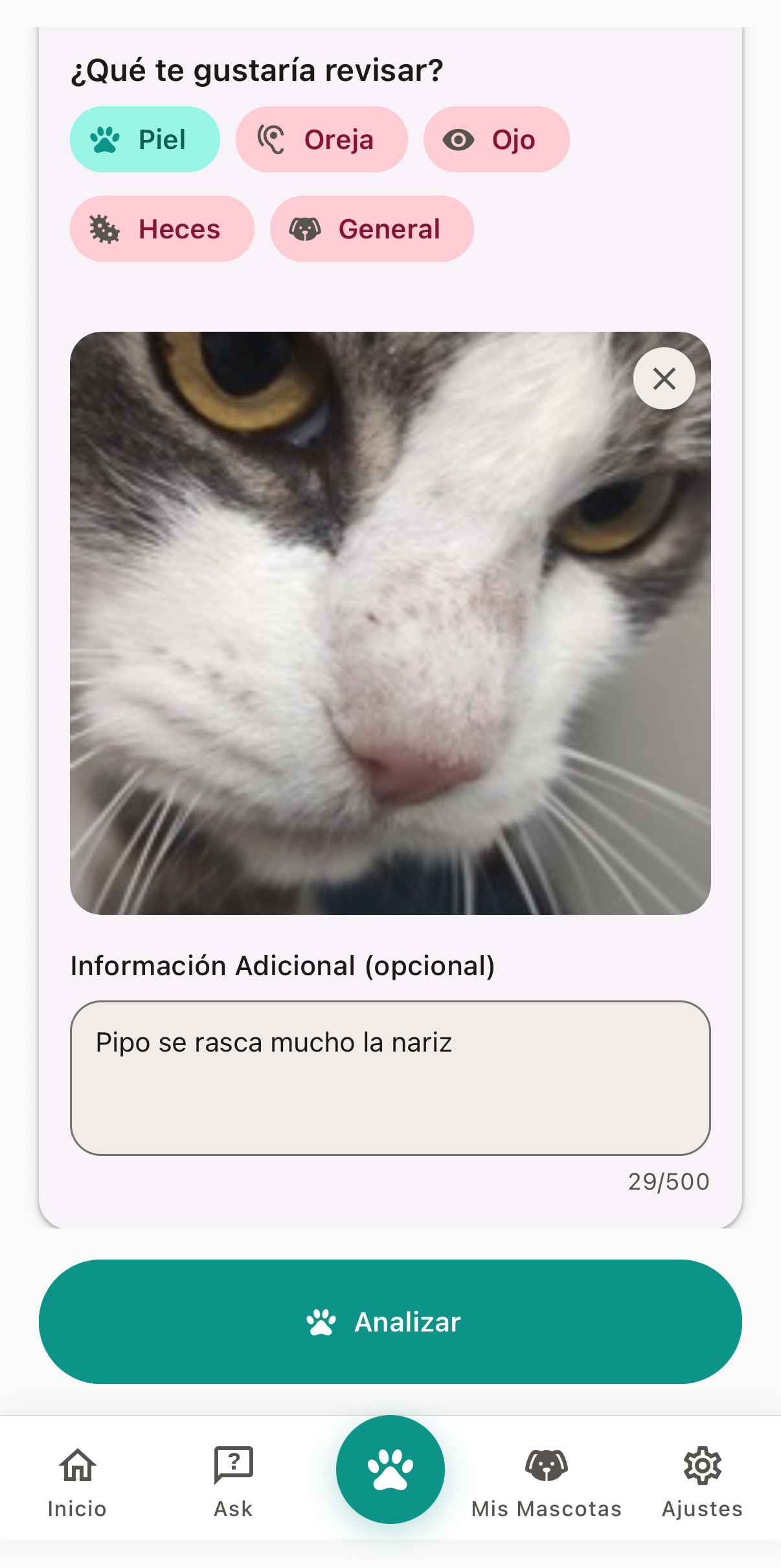 Step 1: take a photo or ask a question
